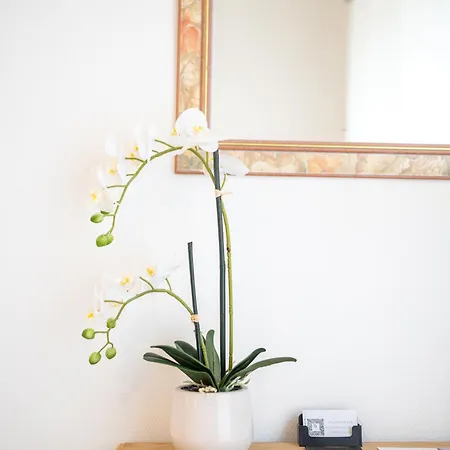 Vichéia - 2 Appartamento