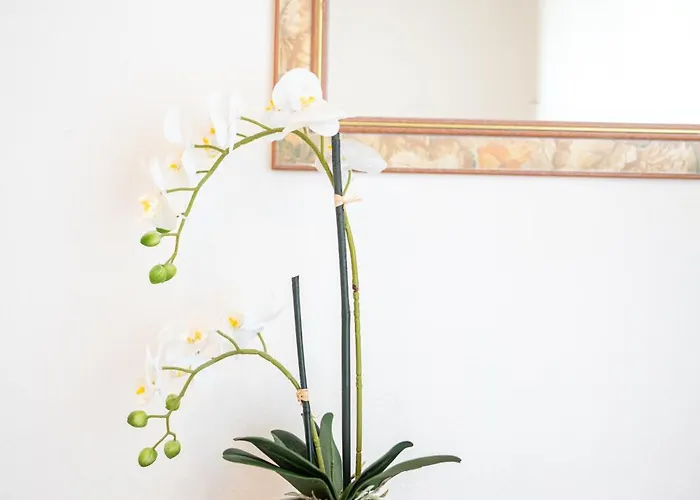 Vichéia - 2 Apartamento